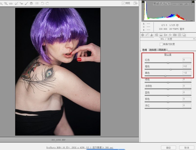PhotoshopŷģʸзɫЧ