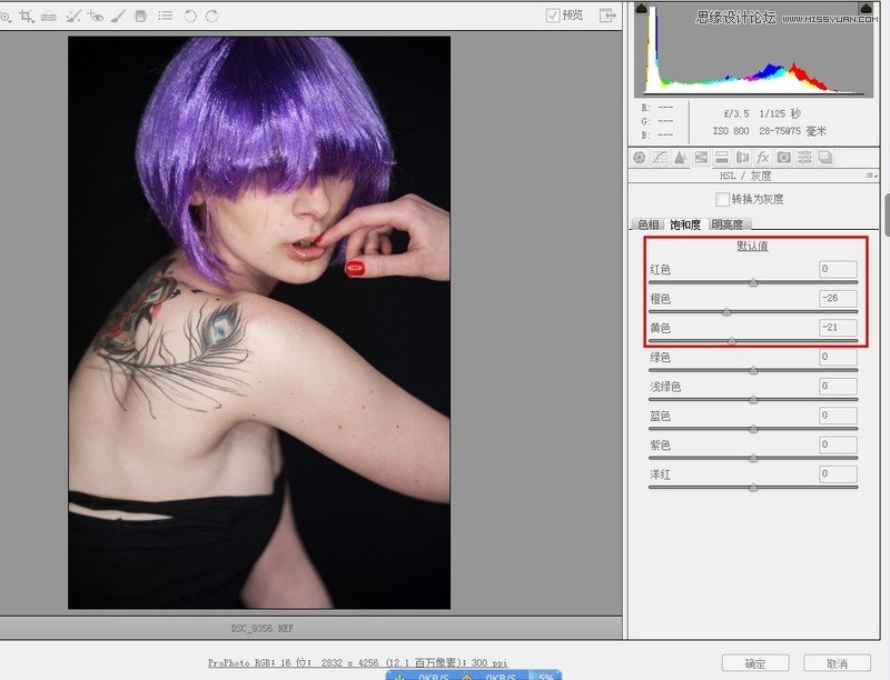 PhotoshopŷģʸзɫЧ