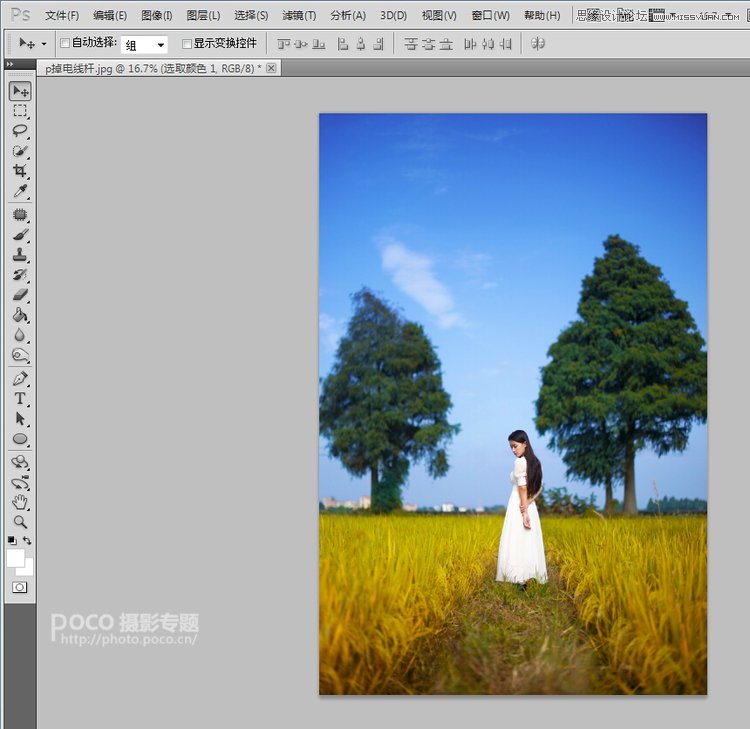 Photoshop⾰＾ɫ