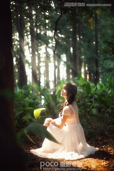 Photoshop调出梦幻风格的森林公主场景图,PS教程