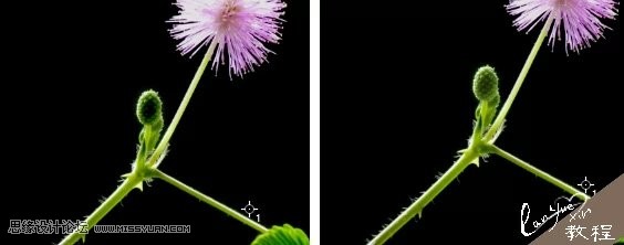 PhotoshopͨڳĹӰЧ