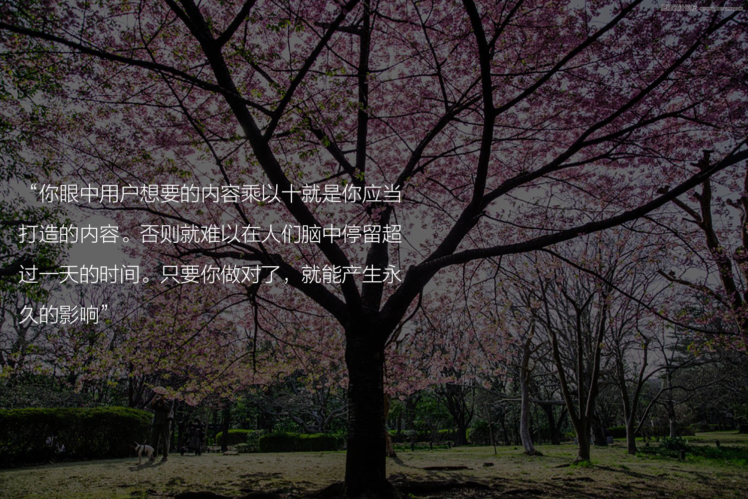 ְִIOS8˻