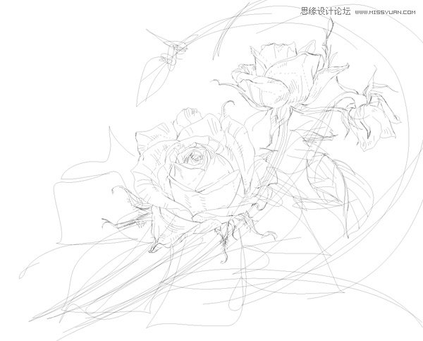 Illustratorɫĳõ廨̳