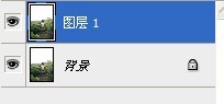Photoshop调出外景儿童照片日系淡雅效果