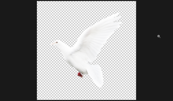 PhotoshopƳ2015̳