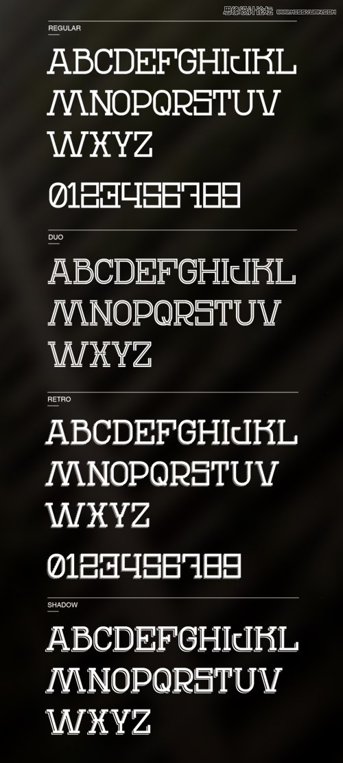 20ʱӢ