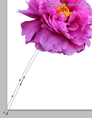 Photoshop设计动感飞溅效果的艺术花朵