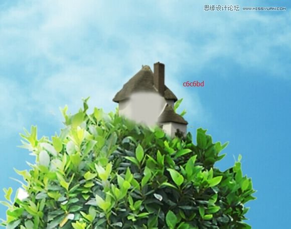 Photoshop合成创意的长在人像上的树木