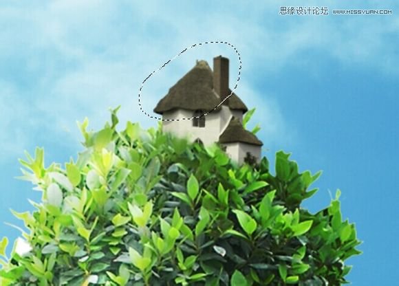 Photoshop合成创意的长在人像上的树木