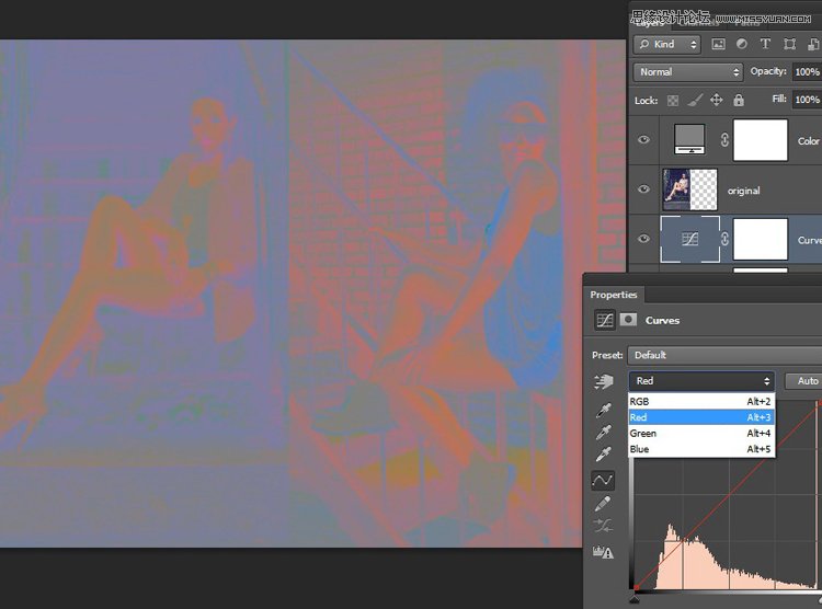 Photoshop巧用曲线复制另一张作品的色调,PS教程