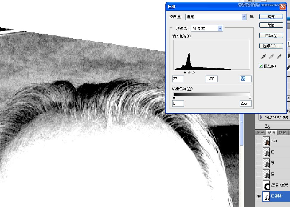 Photoshopƴ̿͵ӵӰ