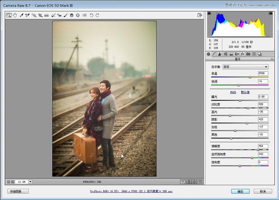 Photoshop调出情侣人像照片文艺范冷色调