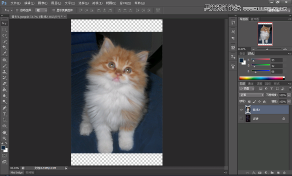 Photoshop制作创意的星空装饰的猫咪图片