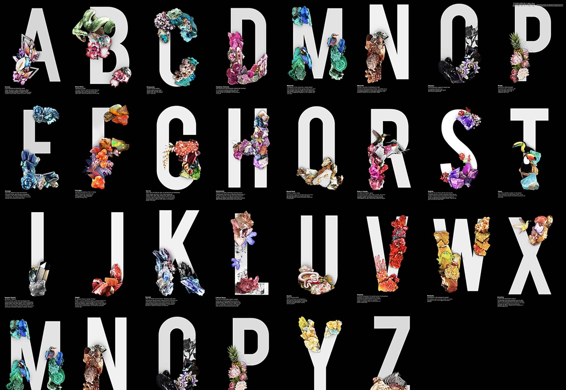 100个最适合设计LOGO的字体分享