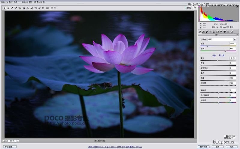 Photoshop为夏日荷花图调出清新高雅色调