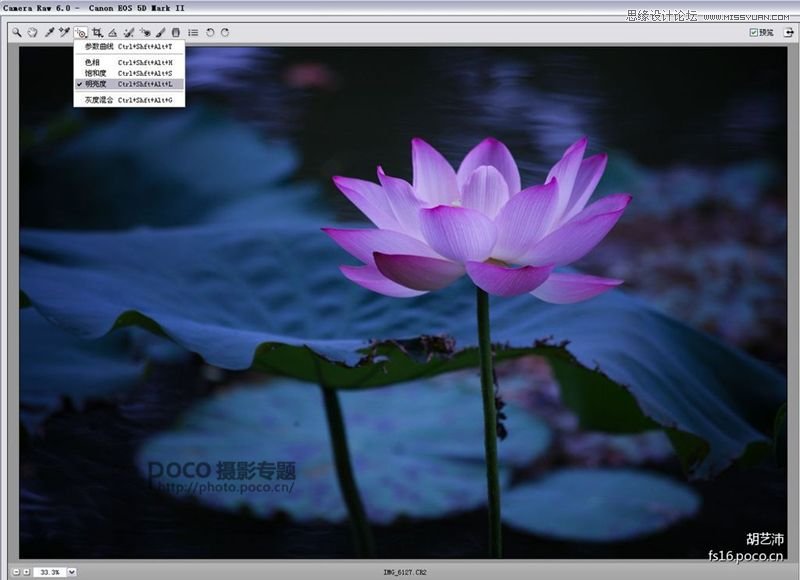 Photoshop为夏日荷花图调出清新高雅色调