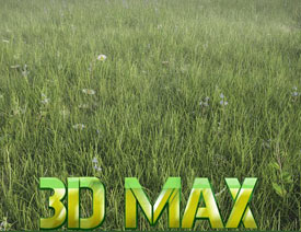 3DMAXϸʵݵЧͼ̳