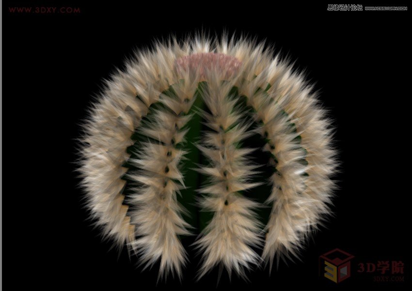 3DMAX详细解析仙人球快速建模的方法