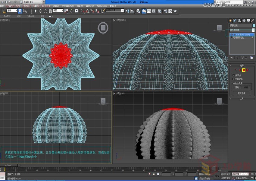 3DMAX详细解析仙人球快速建模的方法