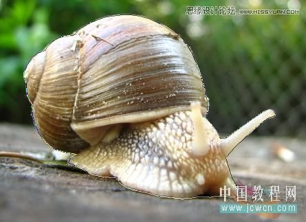 Photoshop合成创意的蜗牛赛跑效果图
