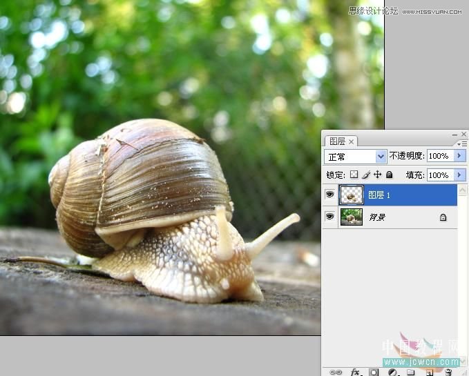 Photoshop合成创意的蜗牛赛跑效果图
