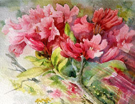 Marie Claire Moudru花卉绘画设计欣赏