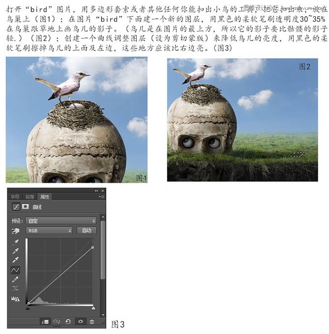 PhotoshopϳɴͷЧͼ