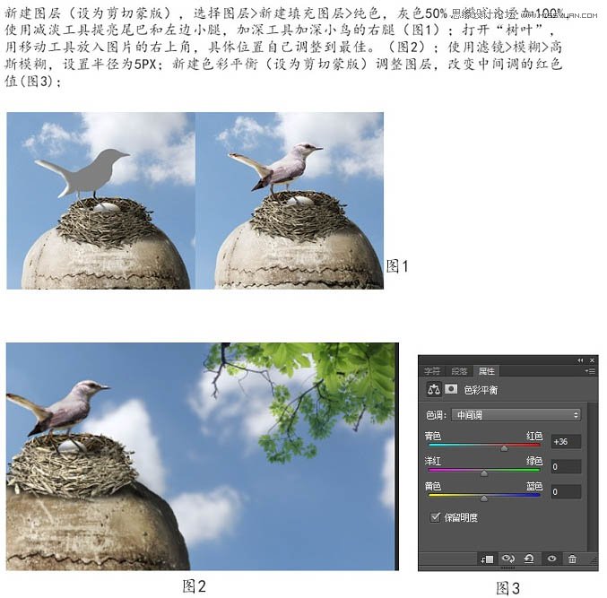 PhotoshopϳɴͷЧͼ