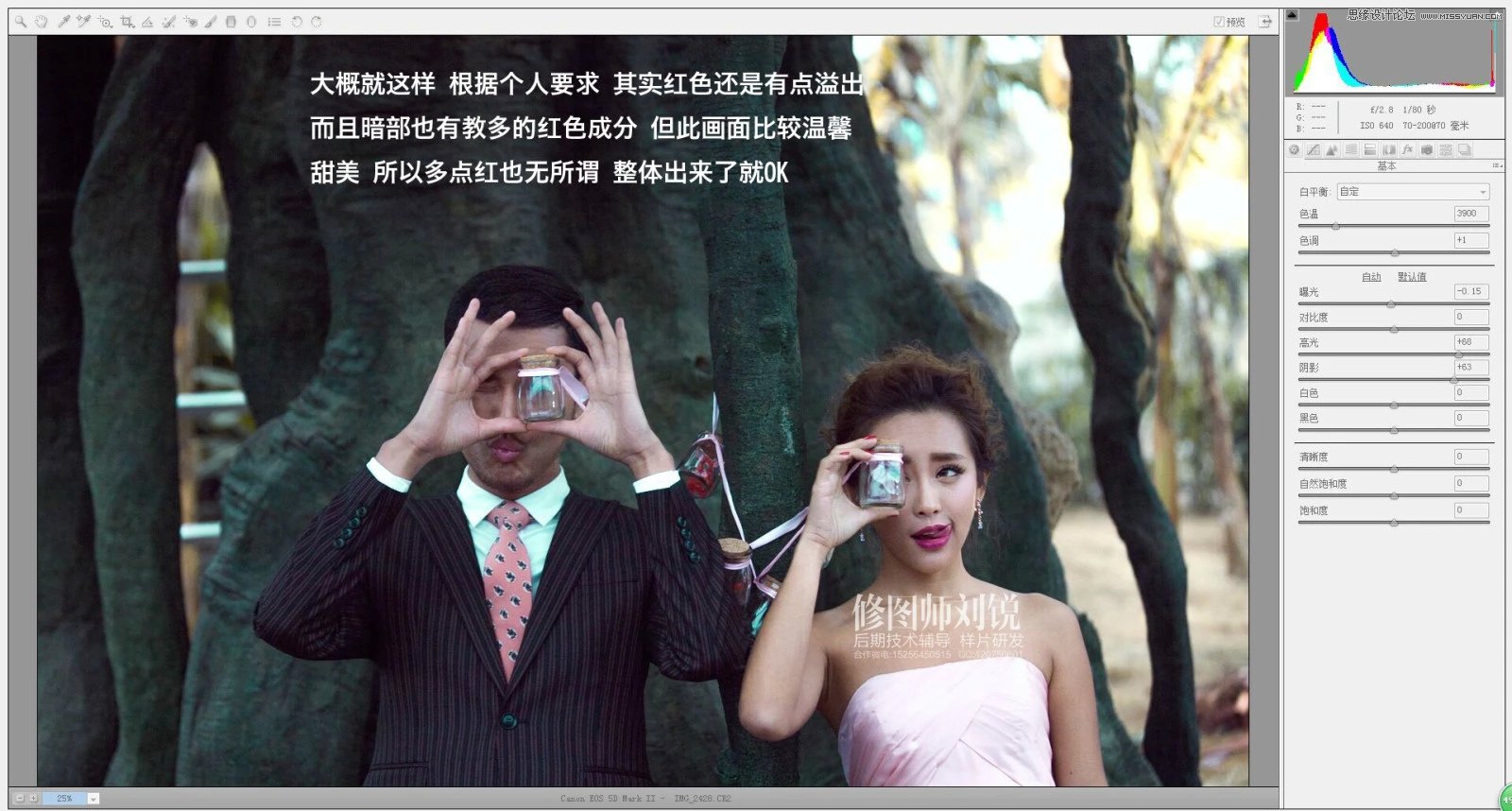 Photoshop给严重曝光不足的婚纱照片调亮