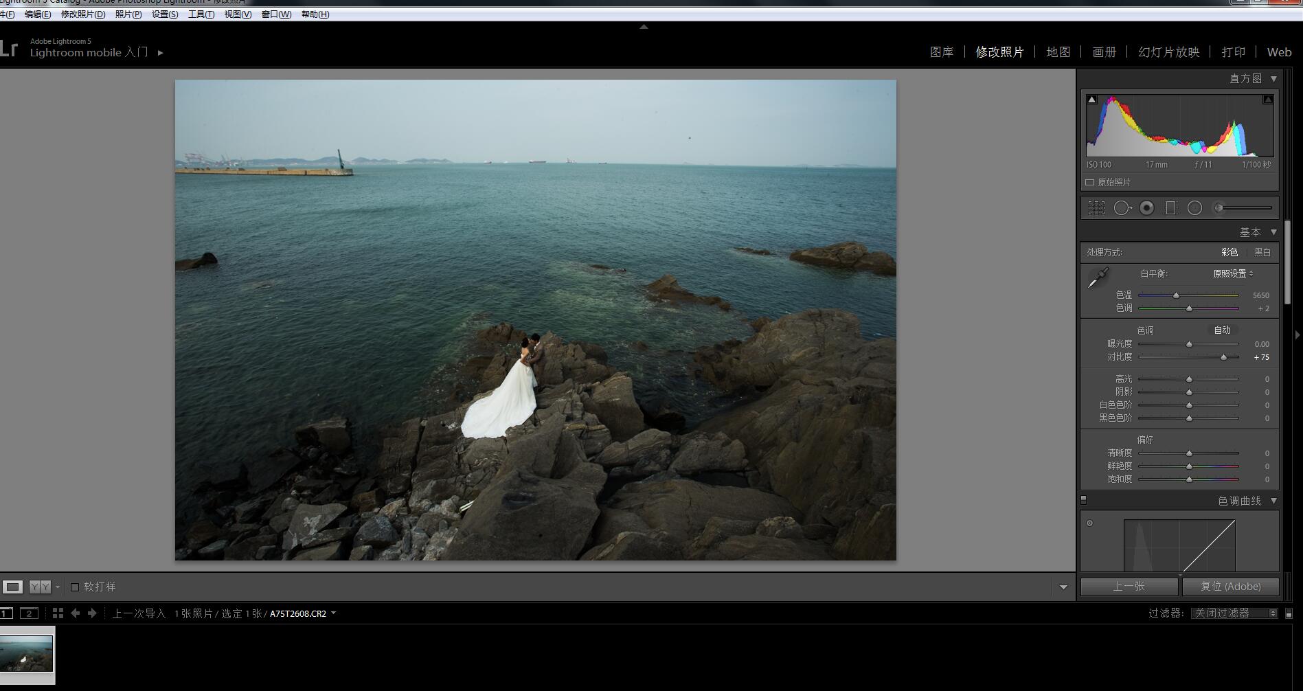 Photoshop设计时尚大气的海边婚纱人像效果