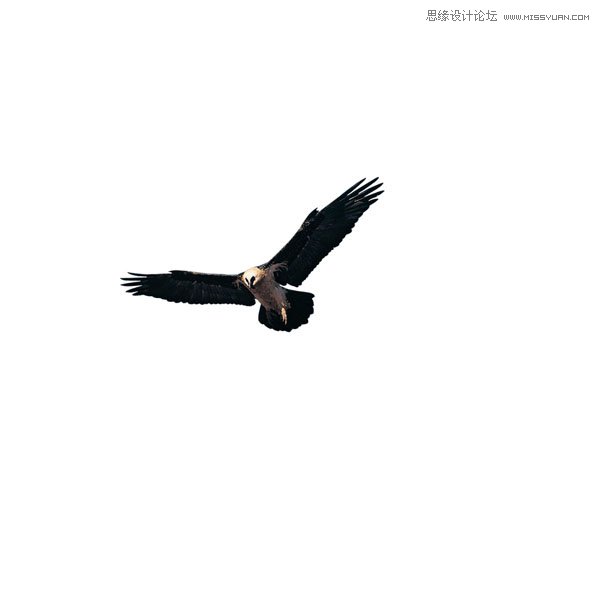 Photoshop合成超酷的奔驰汽车海报教程