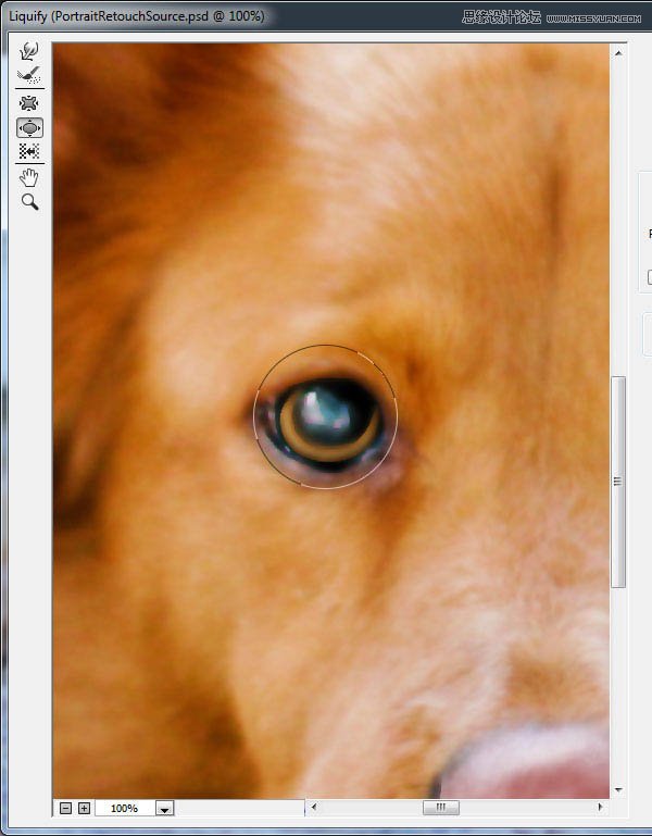 PhotoshopͿĨ߰ƬתΪ滭Ч
