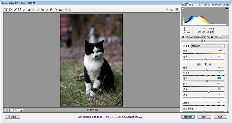Photoshopɫͨ͸èͼƬ