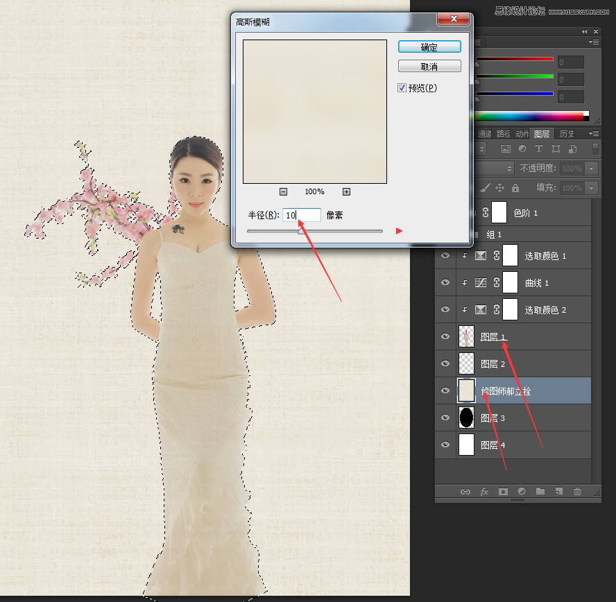 PhotoshopйӰ¥ɴƬЧ