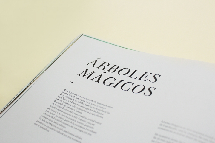 Arboles Magicos精美画册设计欣赏