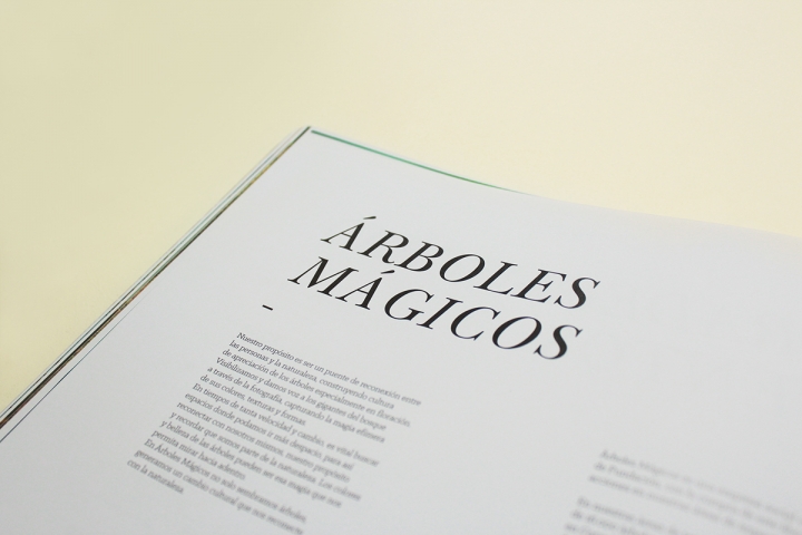 Arboles Magicos精美畫冊設計欣賞