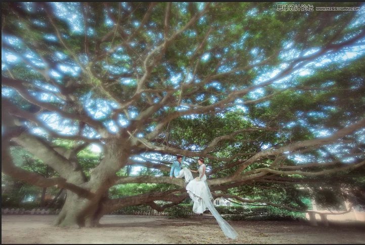 Photoshop⾰ƬΨɫЧ