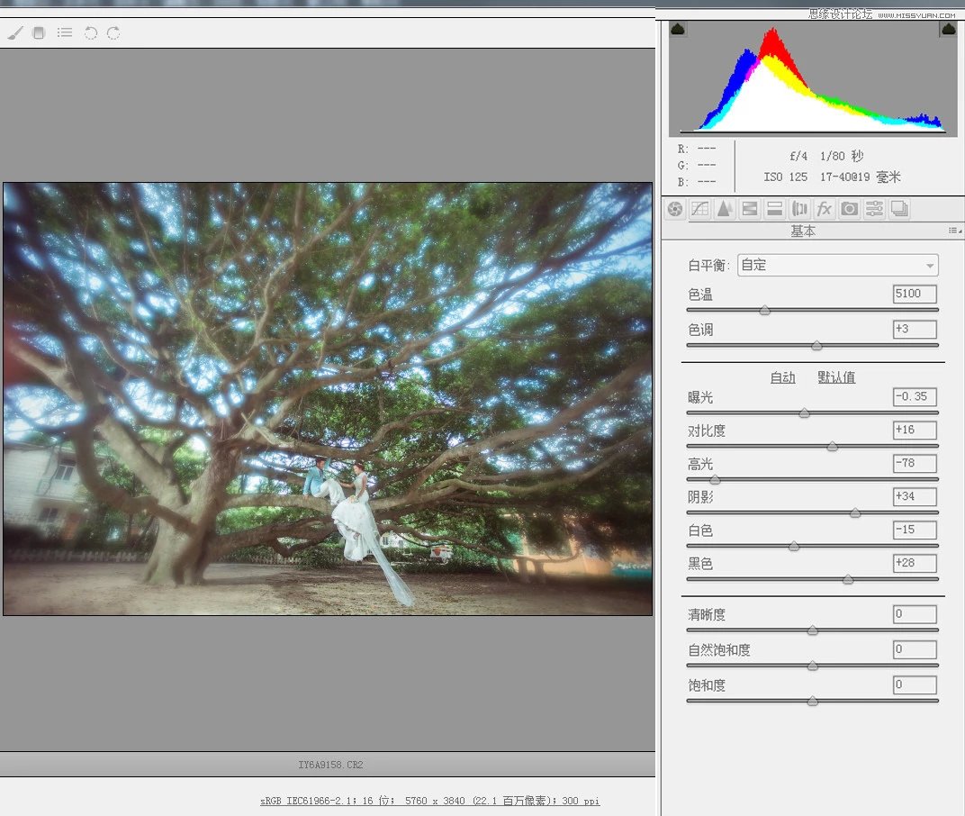 Photoshop调出外景婚片唯美的蓝色艺术效果