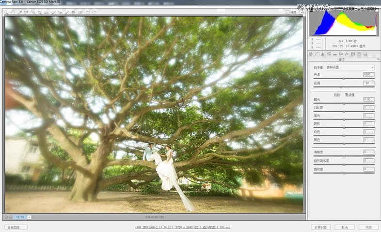 Photoshop调出外景婚片唯美的蓝色艺术效果