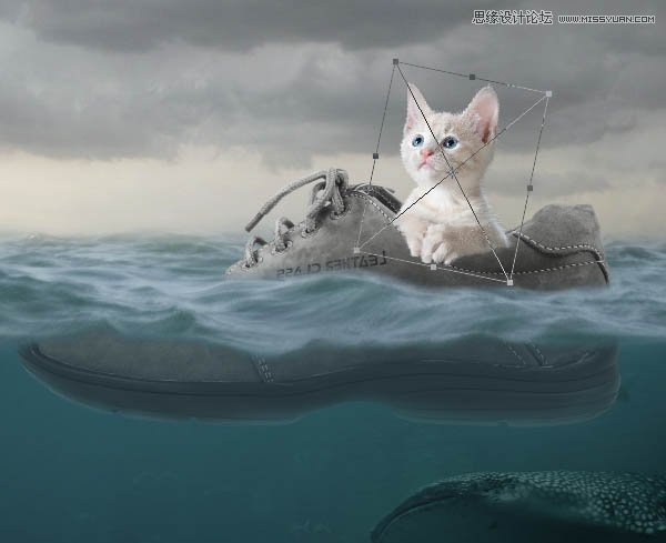 PhotoshopϳɳЬδ󺣵Сè