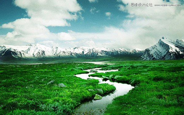 Photoshop合成野外雨中犹豫的一头牛海报