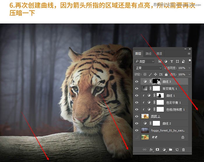 Photoshop合成森林中在老虎面前打灯的女孩