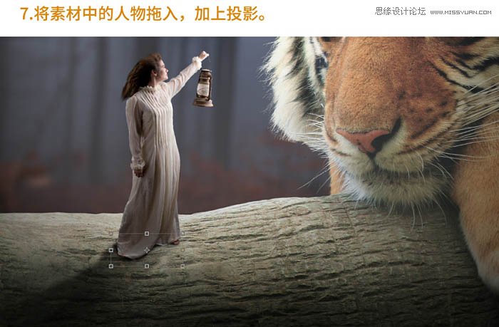Photoshop合成森林中在老虎面前打灯的女孩