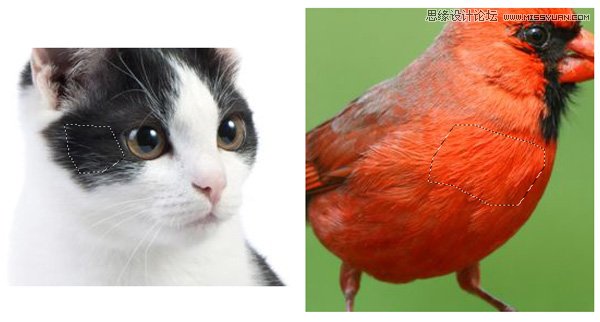 PhotoshopƿɰķŭСЧͼ
