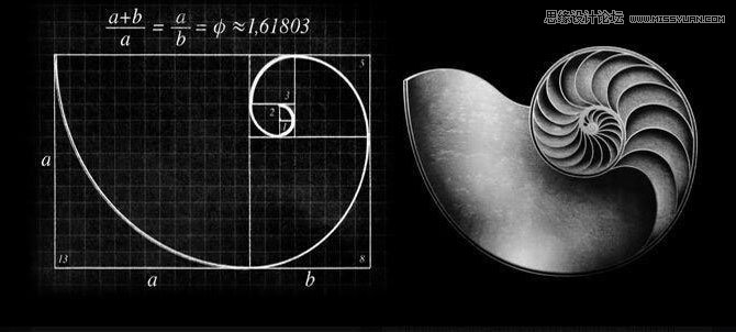 详细解析LOGO设计中黄金比例的实际应用 - 平面理论 - 思缘论坛 平面设计,Photoshop,PSD,矢量,模板,打造最好的素材和设计论坛