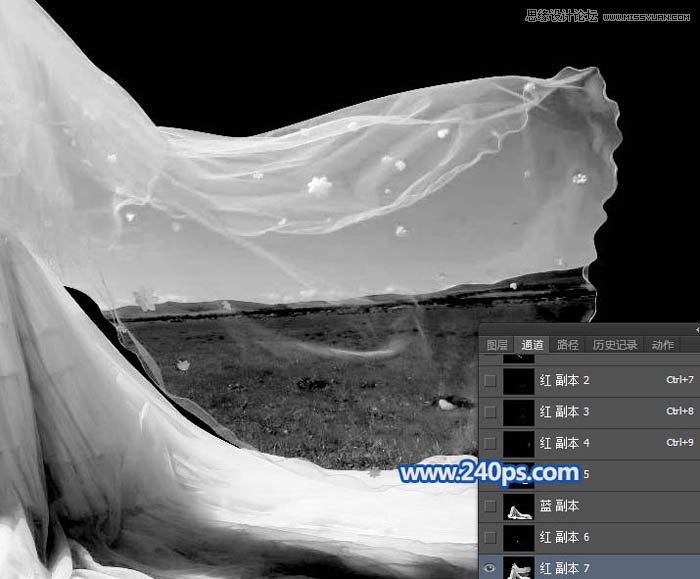Photoshop抠出草原上透明的婚纱照
