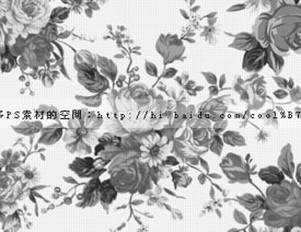 ʱֻ滨仨PSˢ
