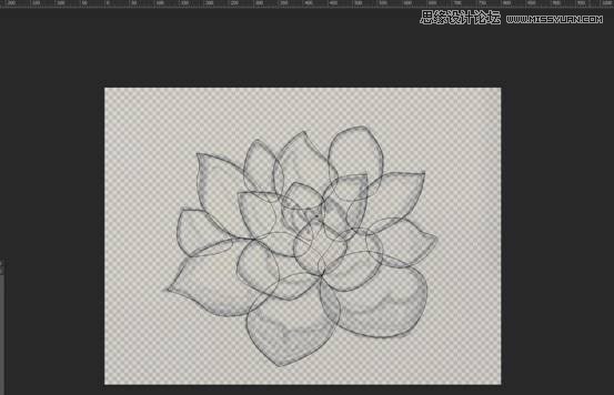 PhotoshopֲﻯICON