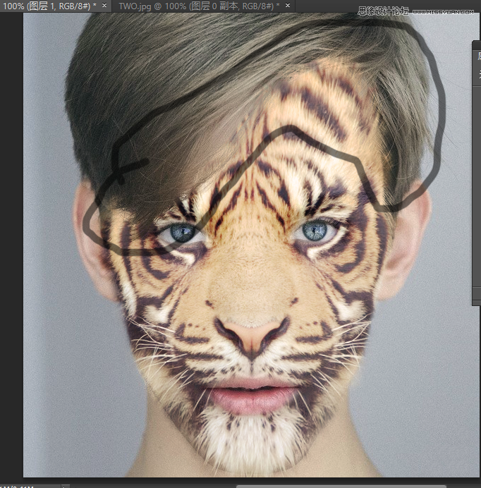 Photoshop详细解析老虎头像和人脸创意合成