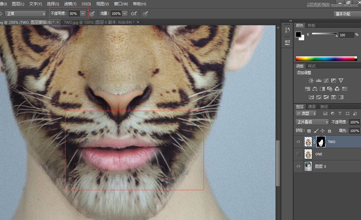 Photoshopϸϻͷϳ